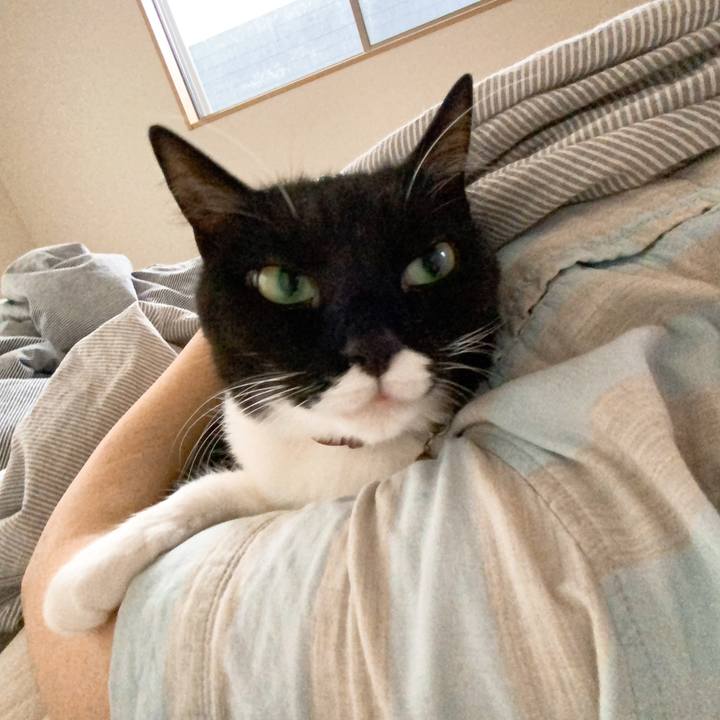 6b6654b6 3a5c 4047 809e 57d559c7d7e6 1591229236199