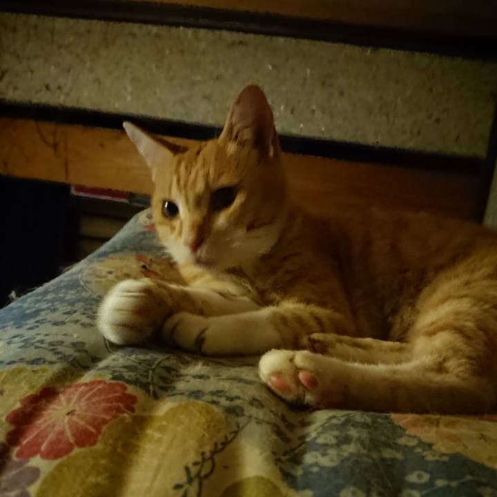 6b6658f6 fabd 41bb be05 f99f50b2997d 1595677685242