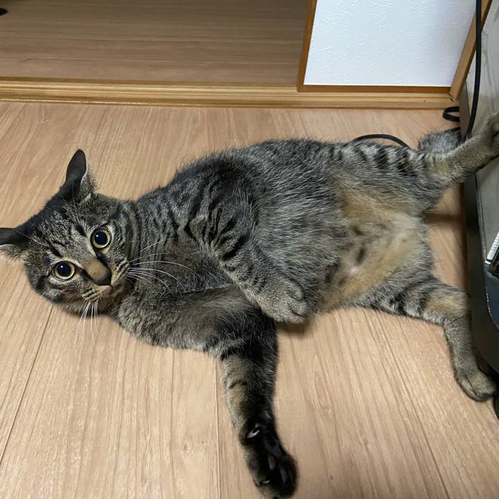 6b66a51c 2d2c 41c2 beb2 ab30dc17dca9 1622199456304