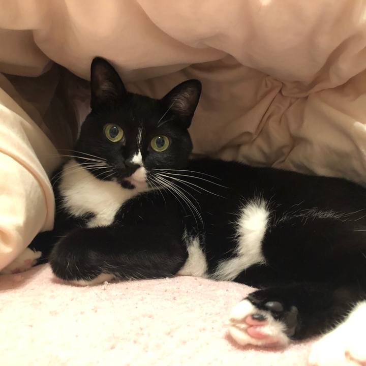 6b66f7c2 e329 4767 ba1f 73f0fb6a6c2d 1566772501574