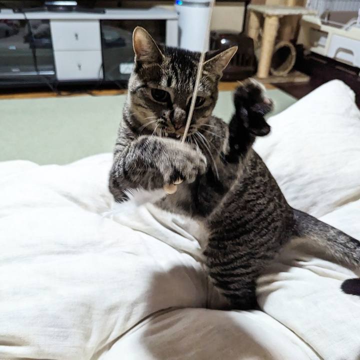 6b67054f 26bd 4774 9330 3b5ff638da67 1714274532712