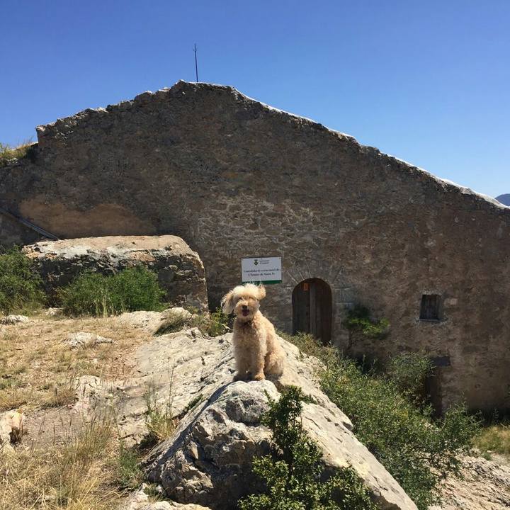 6b6705be 4b88 4582 87e5 644ca9589048 1574868269709