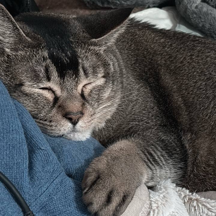 6b671df7 790e 46d5 9d90 5a2824bdbd65 1770999971805