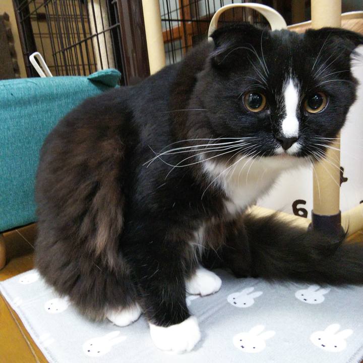 6b671eae 9231 4f7f a6df 12cd5ff0414c 1647567681748