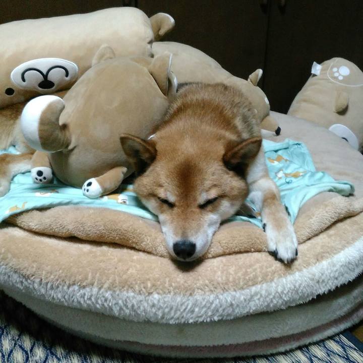 6b6740d6 3be5 4682 81e0 d5bc5caa407a 1530364597649