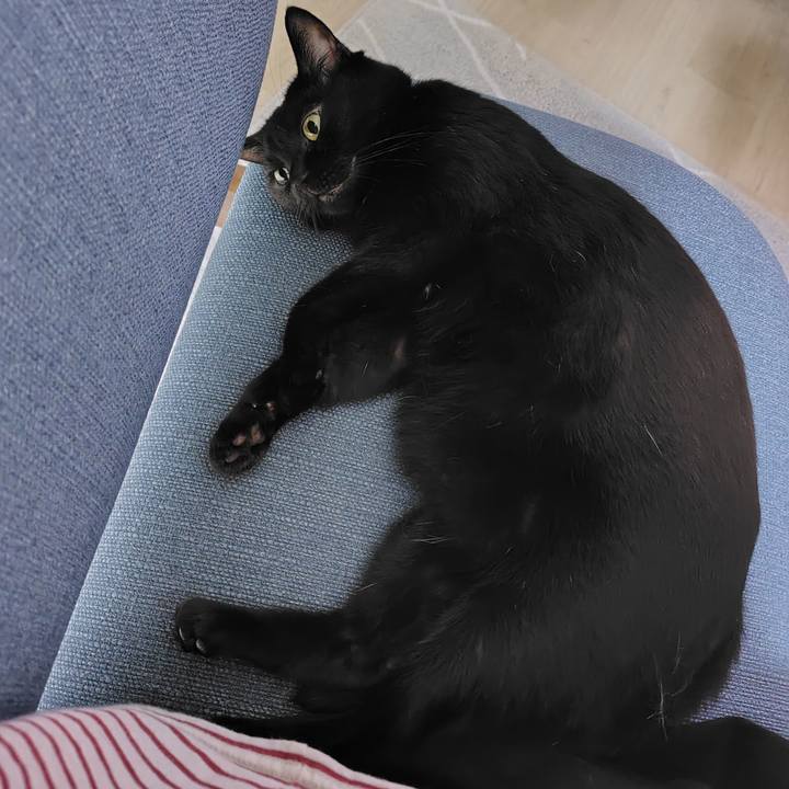 6b67622a 4388 444a 978c 3535c8472834 1727442087537