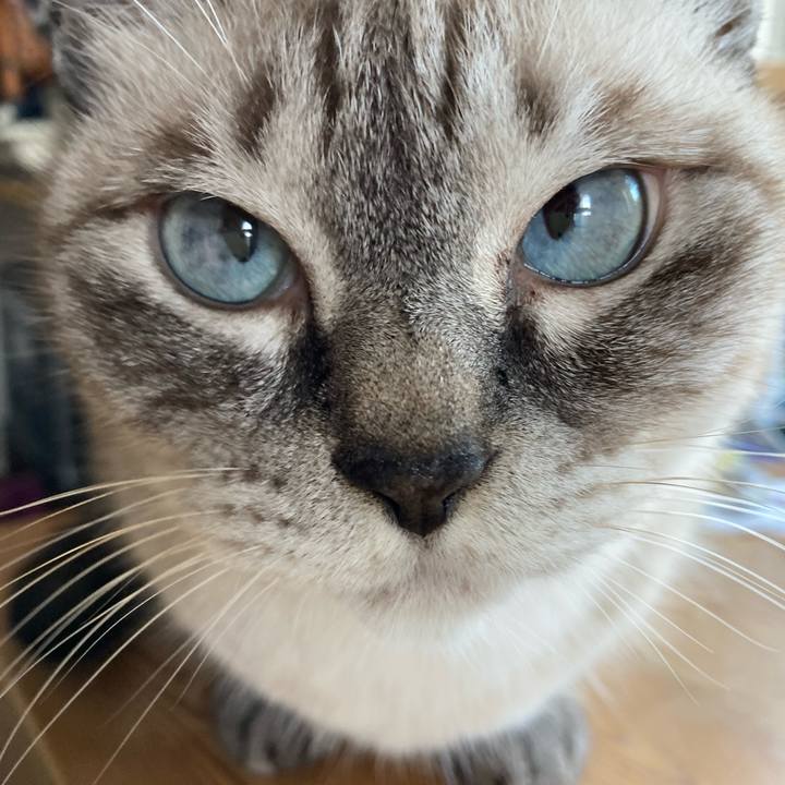 6b676437 5523 4ea9 9e87 ab78319def8a 1725674716688