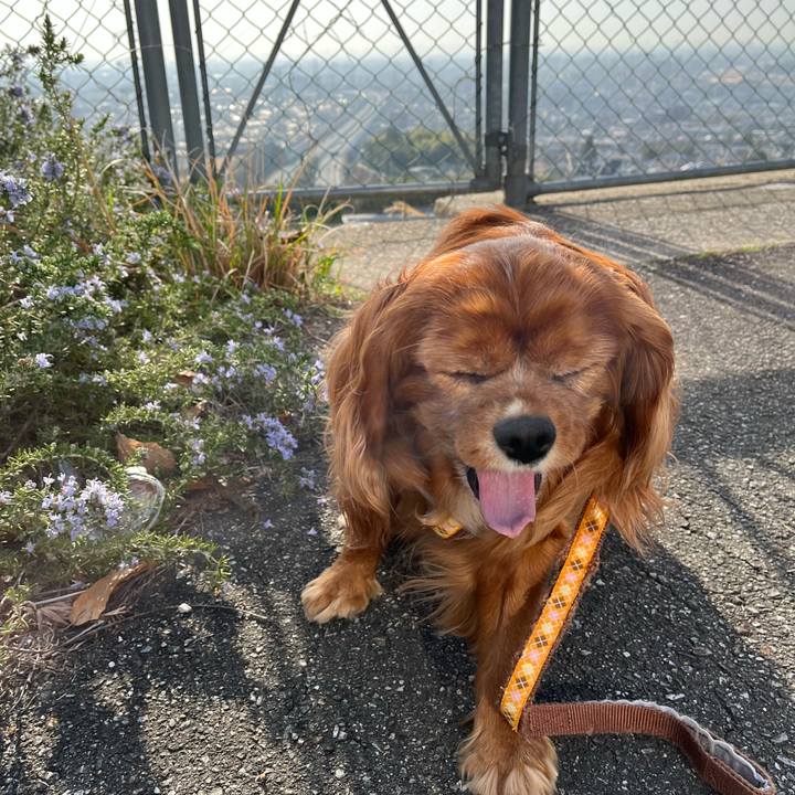 6b676530 2400 40c0 88e3 01b60ff744ed 1678579763419