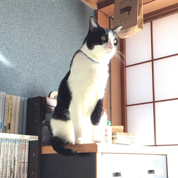 6b677096 2869 444b bb78 4c21fa2d96f9 1709949840399