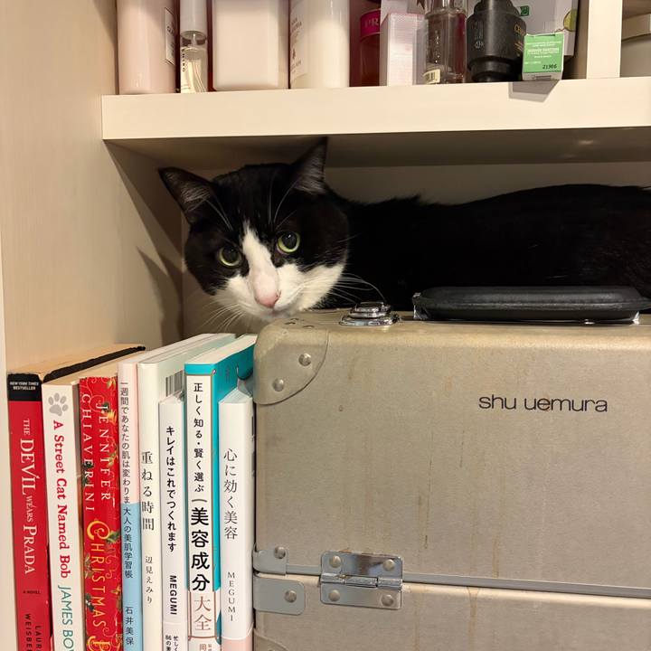 6b679029 cc52 4b30 80a4 143bbe2685ac 1762085913416