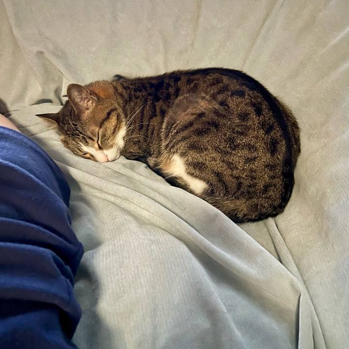 6b67b967 bf39 4be8 99d1 1e789d400826 1774574310852