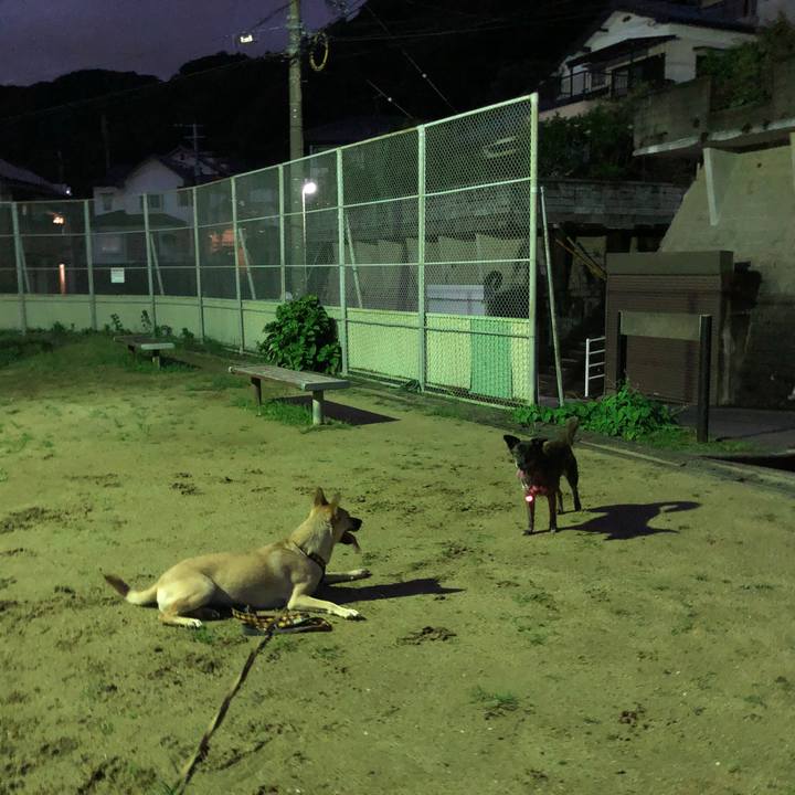 6b67eb3c 357a 43f7 bcfd 7e78e59f54fb 1566865788728