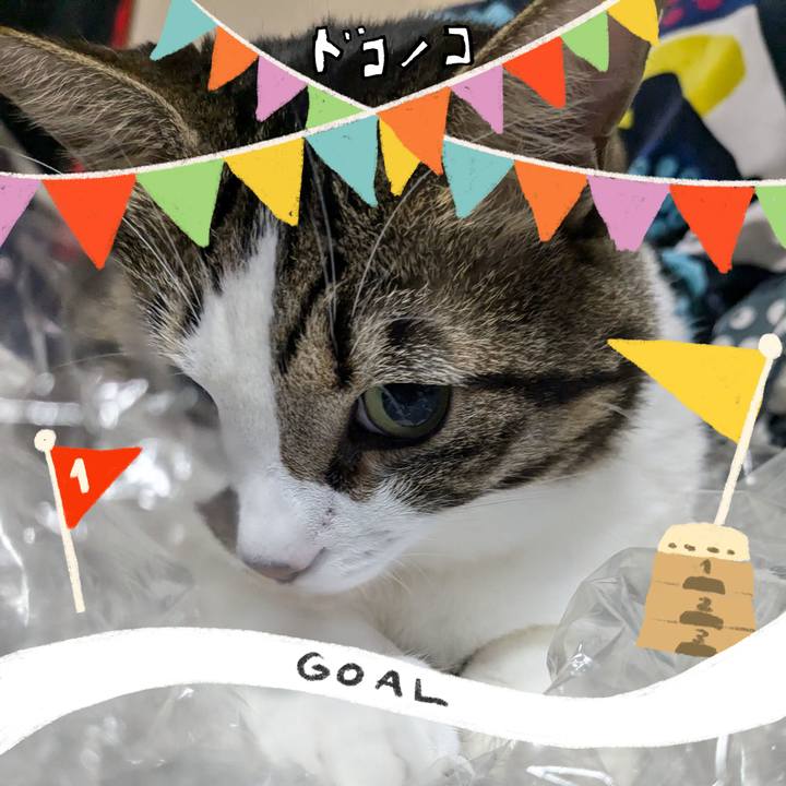 6b68133a 7668 400c 9555 59d4a600b645 1729204777913