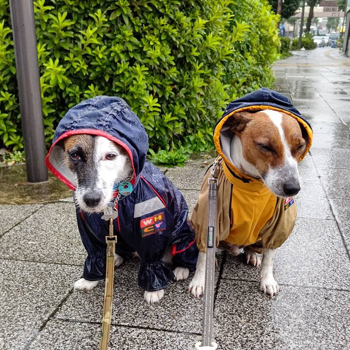 6b681a30 86ec 41c3 bdc2 4cce4b2140fa 1625177914908