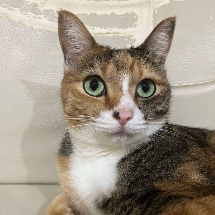 6b686edd 7973 4eee 9c84 f3da3f947cdd 1725714585585