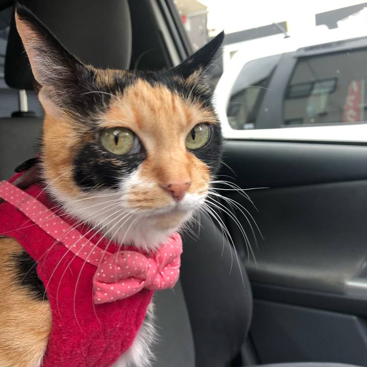 6b68951c df12 4b51 981b bc4f35a0d002 1602202976995