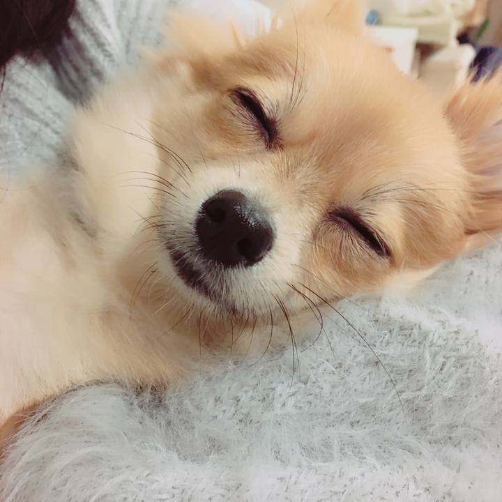 6b68b5d8 1aed 4f25 8860 4a62d019fe56 1515928190950