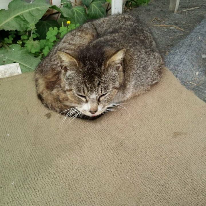 6b68c17a cf1f 48bd b519 812dd5f5d781 1526736147363