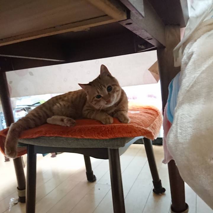 6b692128 c81c 49e0 9880 2f888dd1a4dd 1639174266990