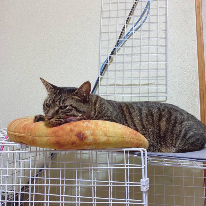 6b69e563 1372 4cbd 8be6 2d244604a9f2 1594482651056