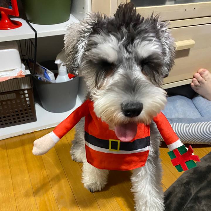 6b6a11d7 2c9e 4ca8 9bda 25fdb5d028ec 1575468092346