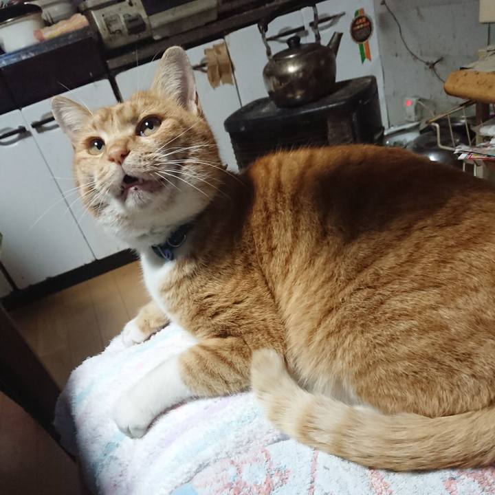 6b6a1e1e 6428 48c3 8823 9296e7383cca 1607757192539