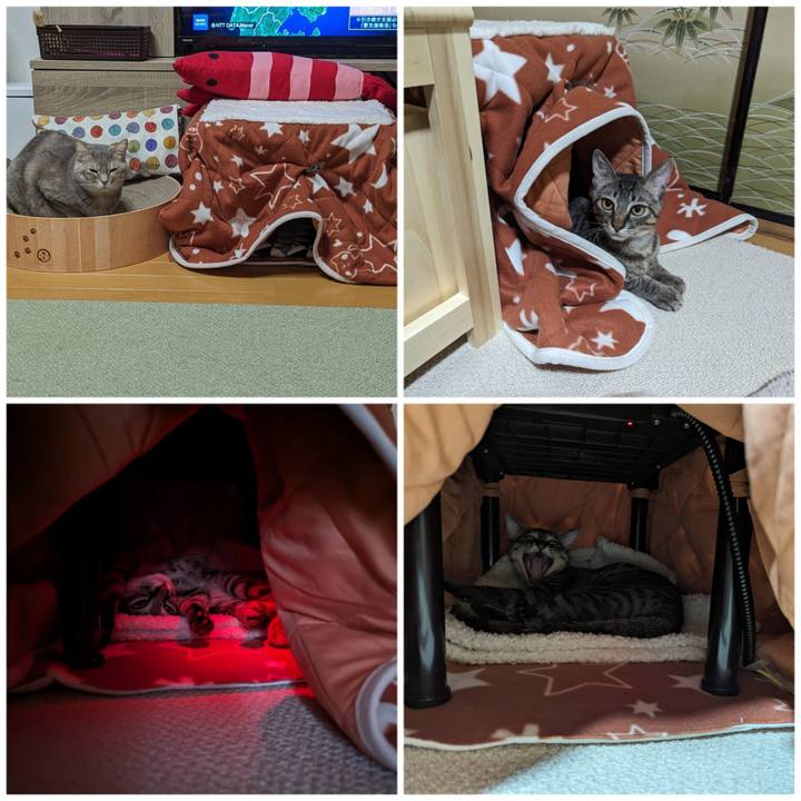 6b6a27f9 9655 491c b750 e9d1e7c3e347 1705803609153