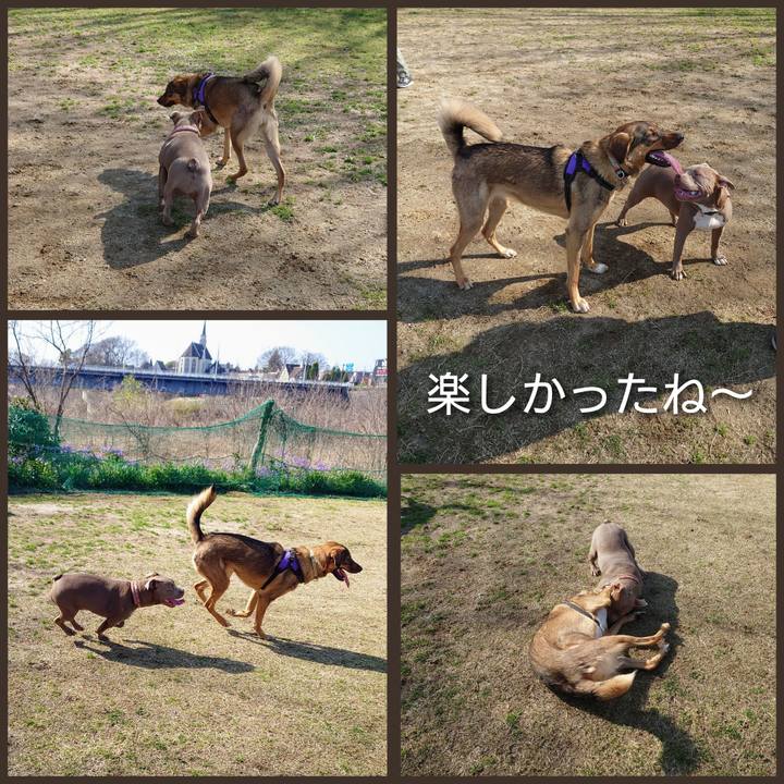 6b6a7a43 e875 41fc b9f7 e31ccb9a3f94 1711854185884