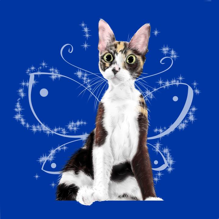 6b6a82cc 76b0 4ad2 8e03 2697181ff49e 1626358568190