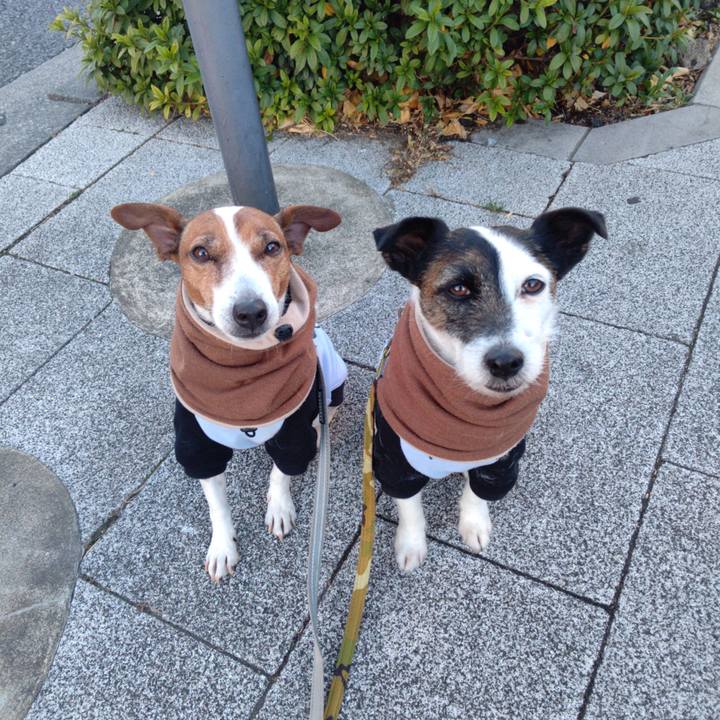 6b6af8ce 71e6 404e 8c27 a0fafaf2cb22 1706221854014