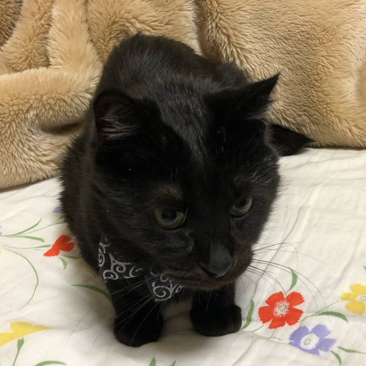 6b6b05f6 fded 49df b544 c5b6daf525b5 1576668814058