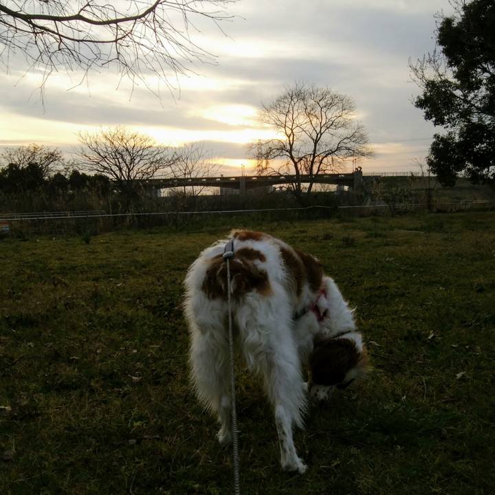 6b6b4a0a fa02 4b4e 8755 267158e8ff2c 1553083204984