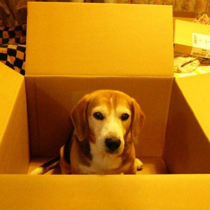 6b6b6d29 895f 40fe b2b1 f5f5652fce47 1640653413527