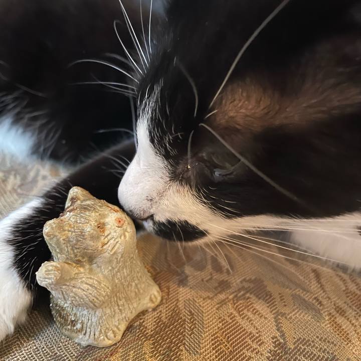 6b6b7ed8 4d5a 476c 9b33 2371991af75d 1676471836712