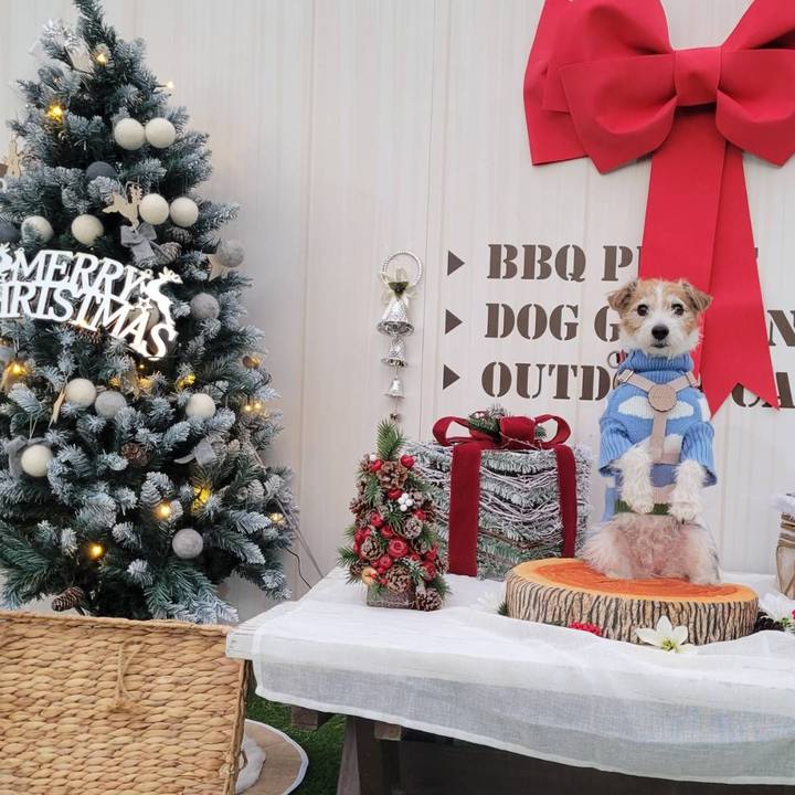 6b6c1aaf bac3 471e 9213 44db1600762d 1763970613111