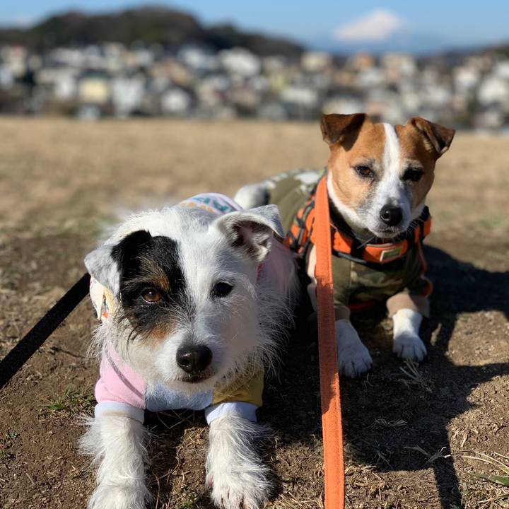 6b6c1e37 86ff 4a11 8b3f 87f1a319998e 1612317694268