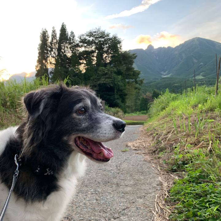 6b6c30ad 2a4e 4bcd 89f6 c4166e3f75ac 1565488707773