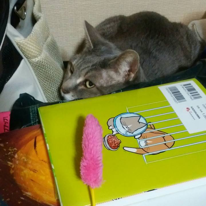 6b6c54b6 ad0d 49f4 a490 83135f7b40a7 1552745045463