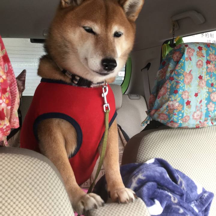 6b6c6277 b0fd 454d 93fe 2c20cbed5ff9 1576044699570