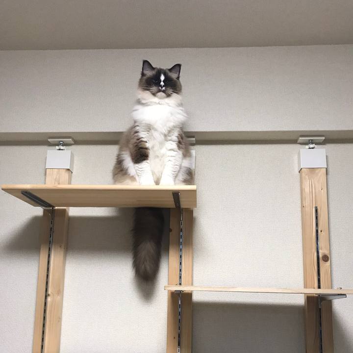 6b6c63d1 ca5d 4017 b367 605320dece93 1543584824959