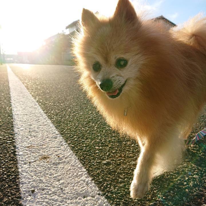 6b6c6bf1 3e09 473f a38b 071752b73421 1662417612003