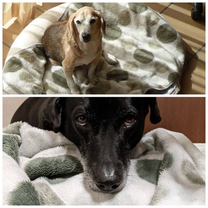 6b6c7b9d 9c7b 4cbc 93fa 357d4f81da18 1706577737684