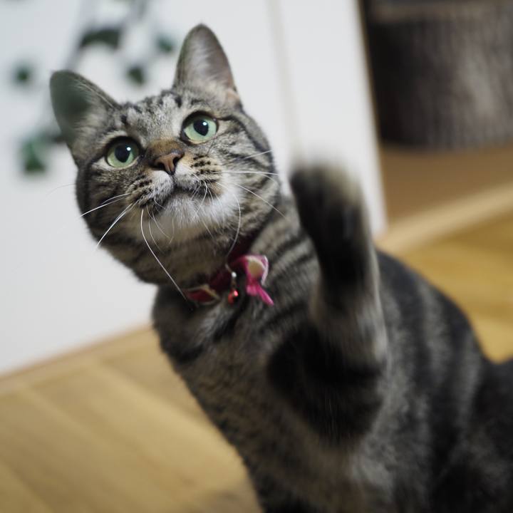 6b6c8c36 80ad 4b99 a903 c63fc984d159 1630140831947