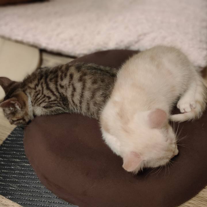 6b6c98fd bdba 46c9 99f0 a2c22d17bbee 1624363930166