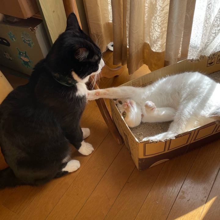 6b6cac71 b374 426a 9e5e a1e0fb1de4bf 1706316236144