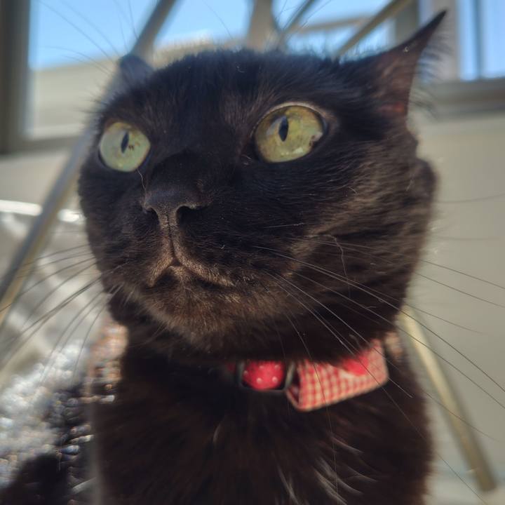 6b6cdcb2 97f5 46be 919f 141856ccead3 1728696806746