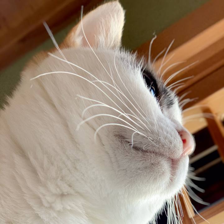 6b6cec54 9805 4ec2 b09c e46ec4f37f66 1540260821975