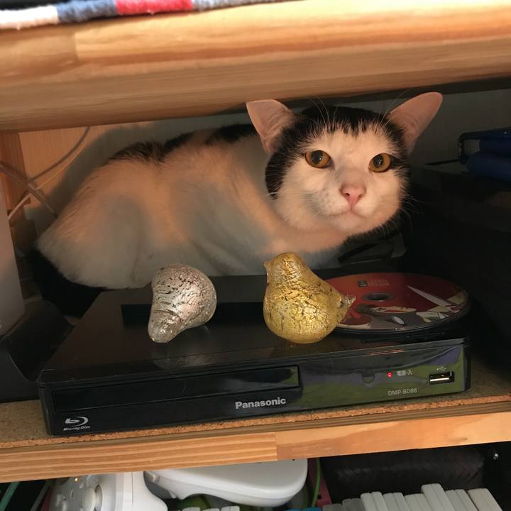 6b6cf973 c807 4770 8fb7 d13d0fc2e915 1517472671633