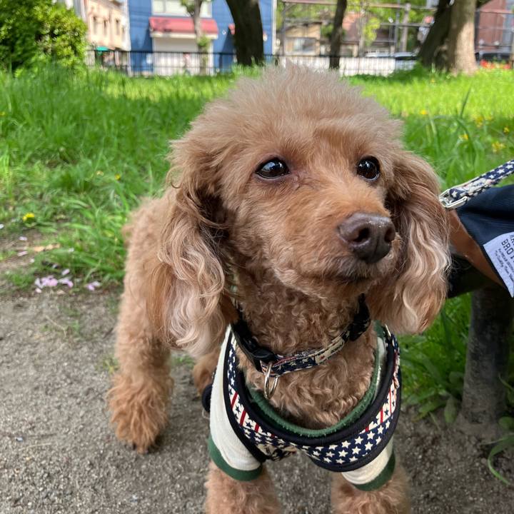 6b6d3105 de1f 4b49 8306 6ccda7158170 1703067195369