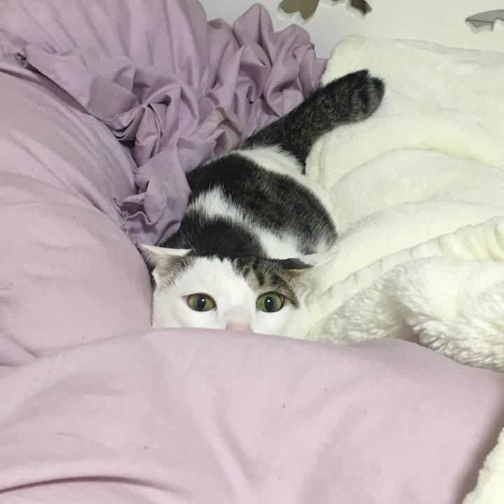 6b6d3306 5129 4889 8058 461f90e7eae2 1509628770202